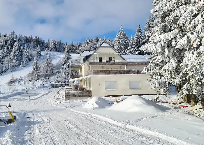 Bel Appartement 3 Pieces Dans La Residence Vosges-Alsace Orbey
