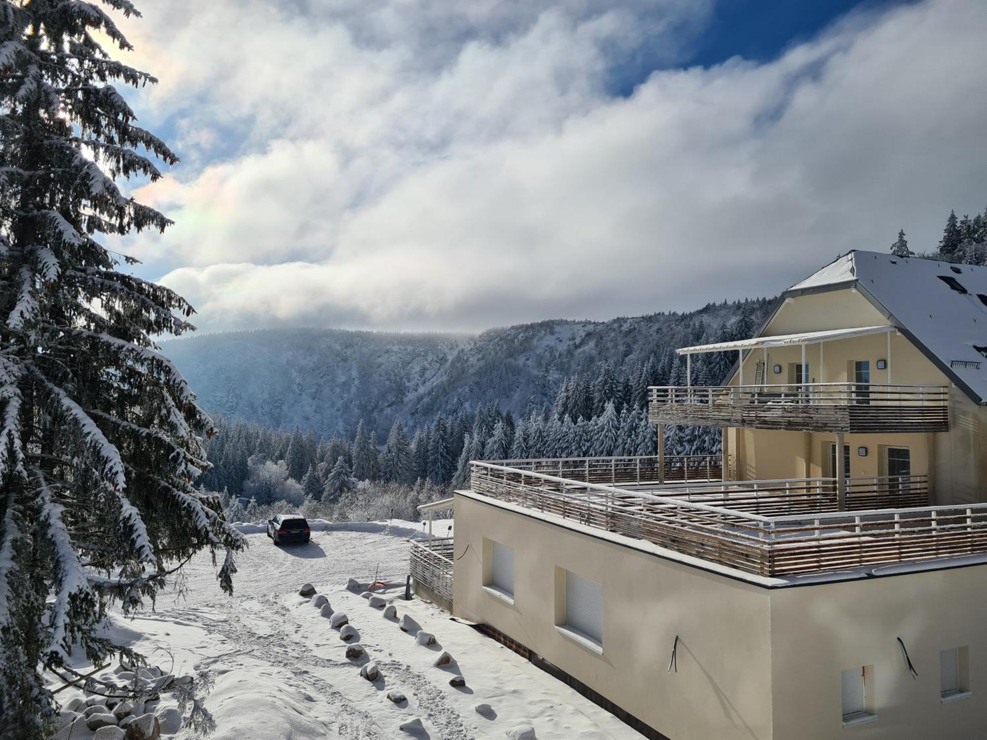 Bel 3 Pieces Dans La Vosges-alsace