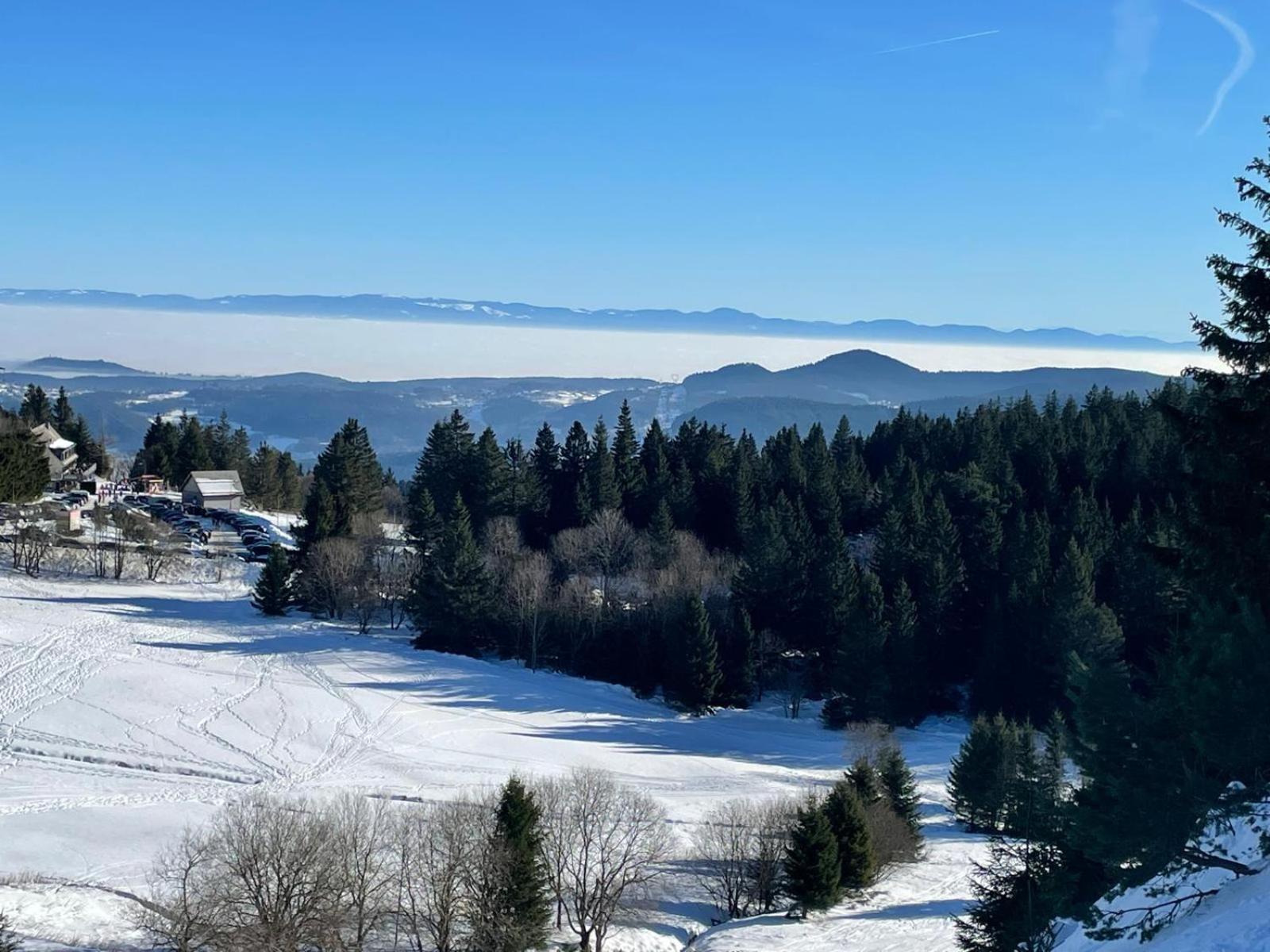 Bel 3 Pieces Dans La Vosges-alsace Apartment *